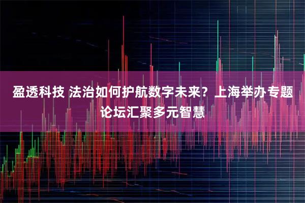 盈透科技 法治如何护航数字未来？上海举办专题论坛汇聚多元智慧