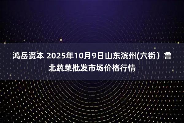 鸿岳资本 2025年10月9日山东滨州(六街）鲁北蔬菜批发市场价格行情