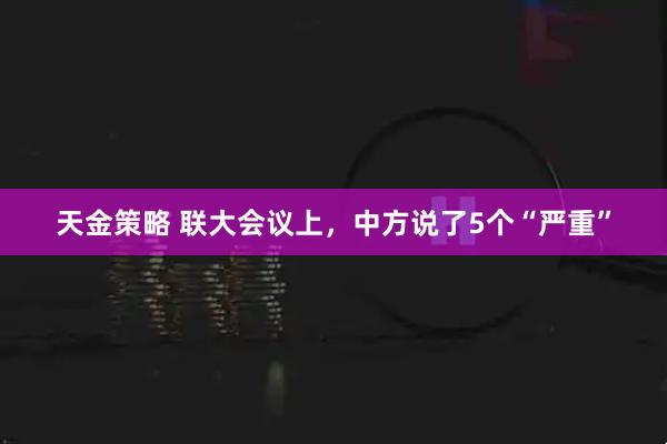 天金策略 联大会议上，中方说了5个“严重”