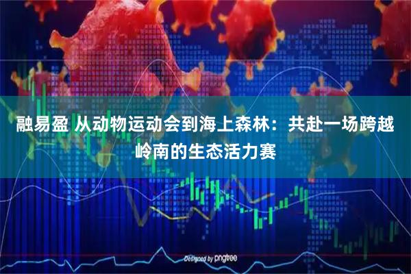 融易盈 从动物运动会到海上森林：共赴一场跨越岭南的生态活力赛