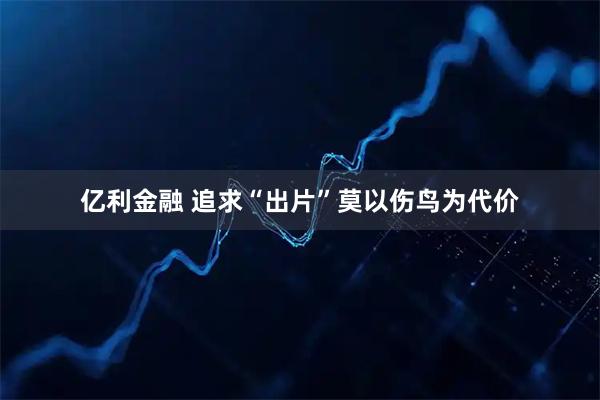 亿利金融 追求“出片”莫以伤鸟为代价