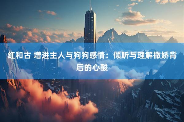 红和古 增进主人与狗狗感情：倾听与理解撒娇背后的心酸