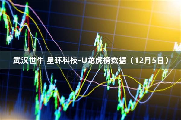 武汉世牛 星环科技-U龙虎榜数据（12月5日）