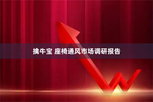 擒牛宝 座椅通风市场调研报告