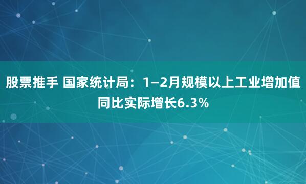 股票推手 国家统计局：1—2月规模以上工业增加值同比实际增长6.3%
